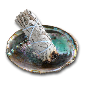 Abalone Shell & White Sage Smudge Stick Gift Box